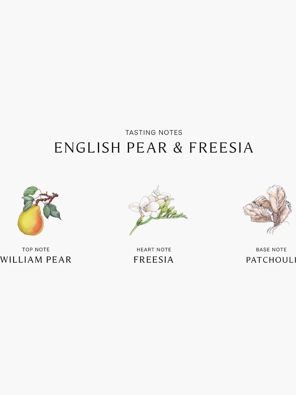 Jo Malone London ™ English Pear & Freesia Body Crème